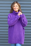 Romilly Polo Neck Knitted Jumper Purple