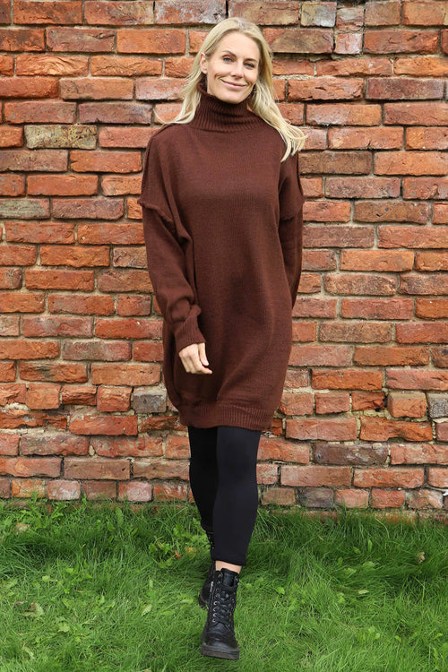 Bridie Polo Neck Knitted Tunic Cocoa