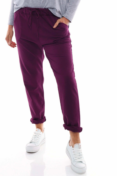 Didcot Jersey Pants Berry - Image 2