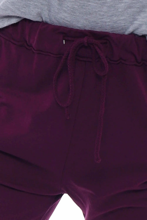 Didcot Jersey Pants Berry - Image 3