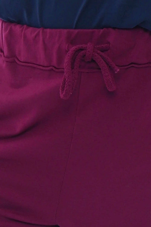 Didcot Jersey Pants Light Berry - Image 3